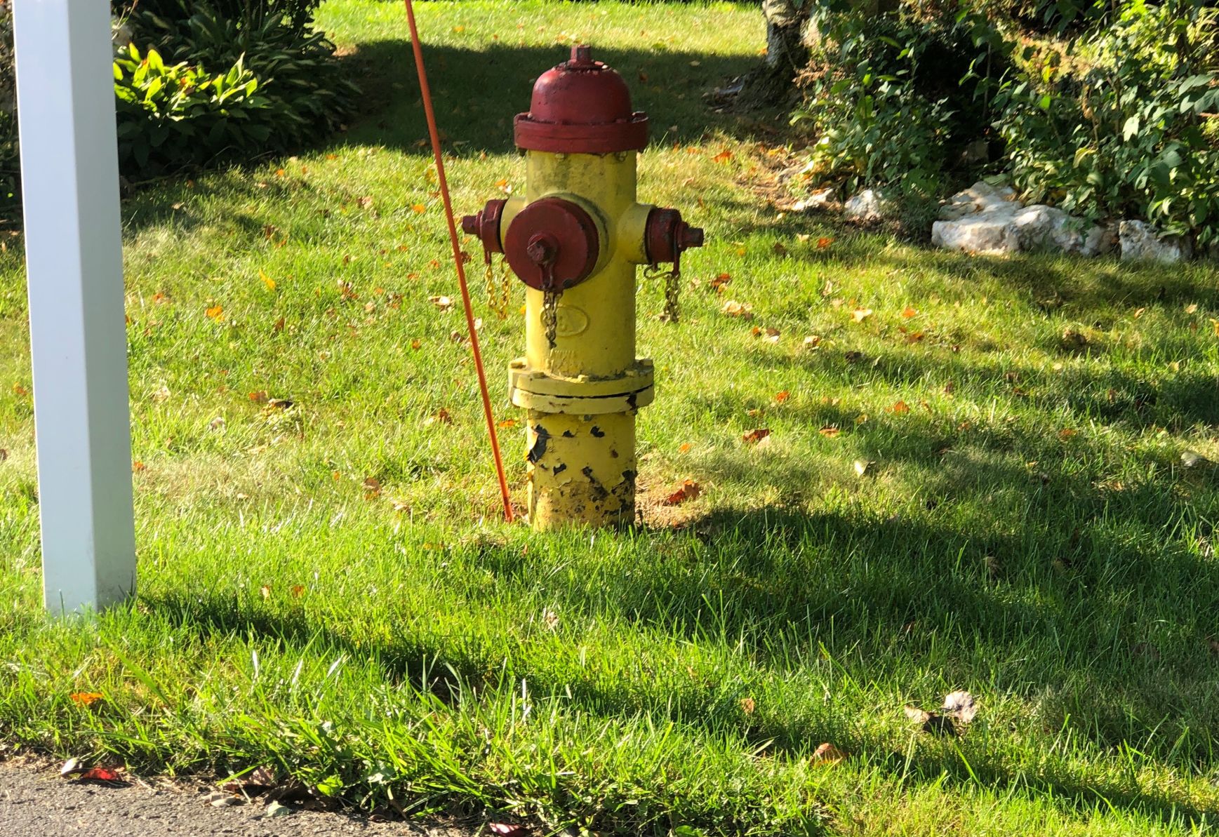 Watchdog Pheasant Ridge Hydrants